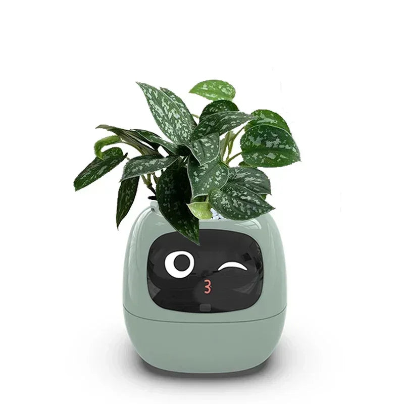 Smart Small Flower Pot - CloudEmpire Trends