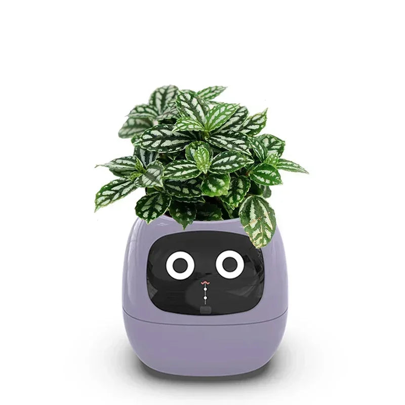 Smart Small Flower Pot - CloudEmpire Trends