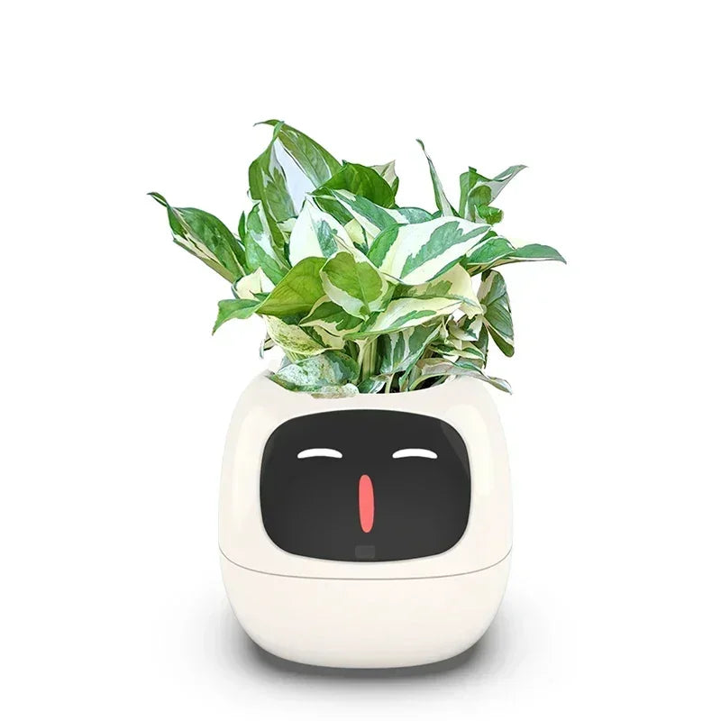 Smart Small Flower Pot - CloudEmpire Trends