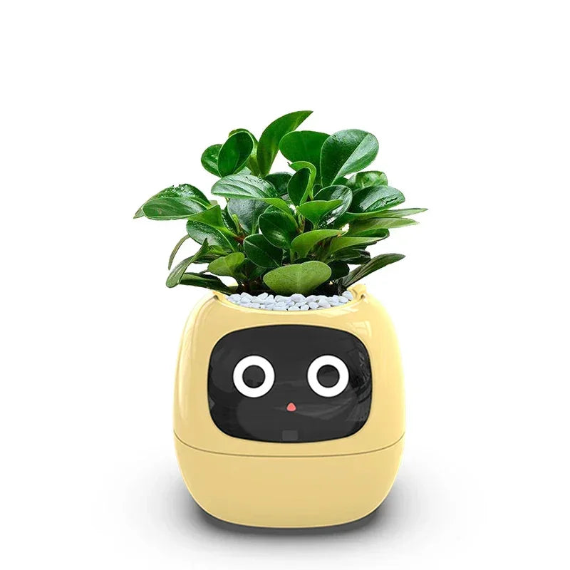 Smart Small Flower Pot - CloudEmpire Trends