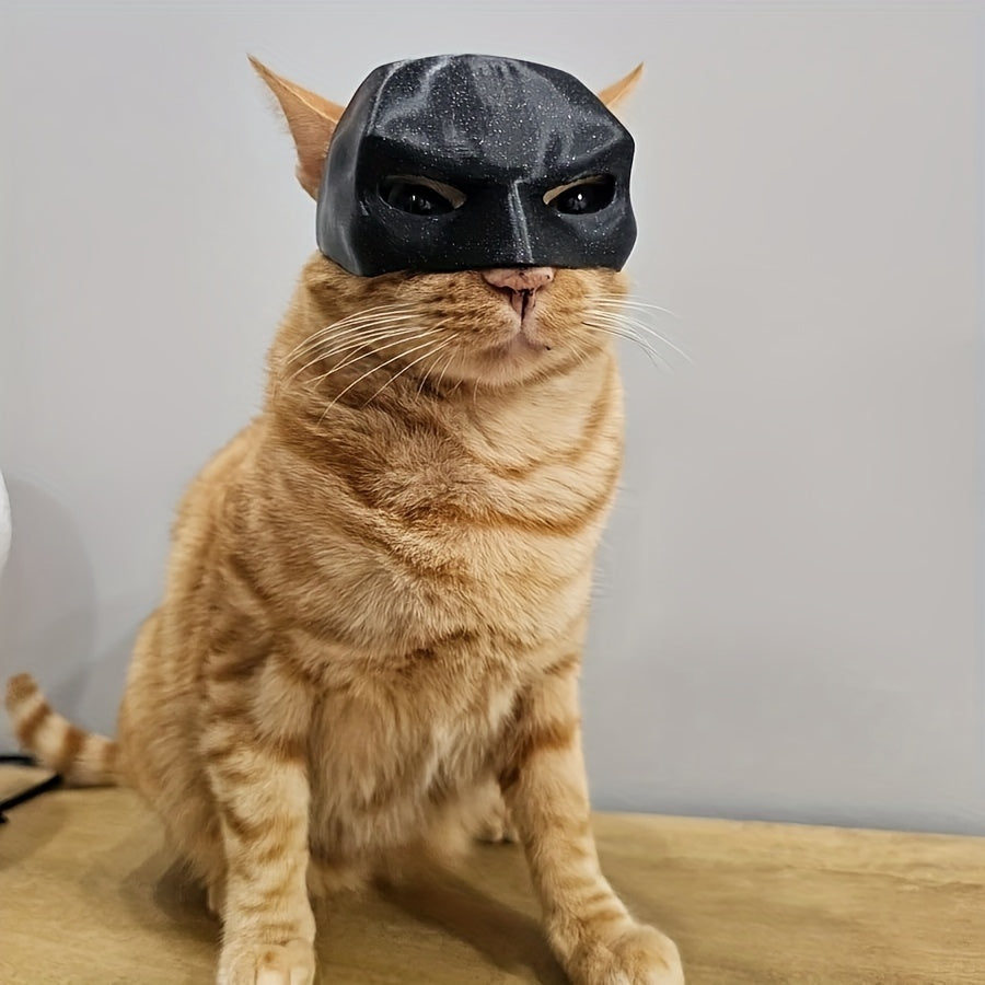 Cat wearing a black mask on a neutral background