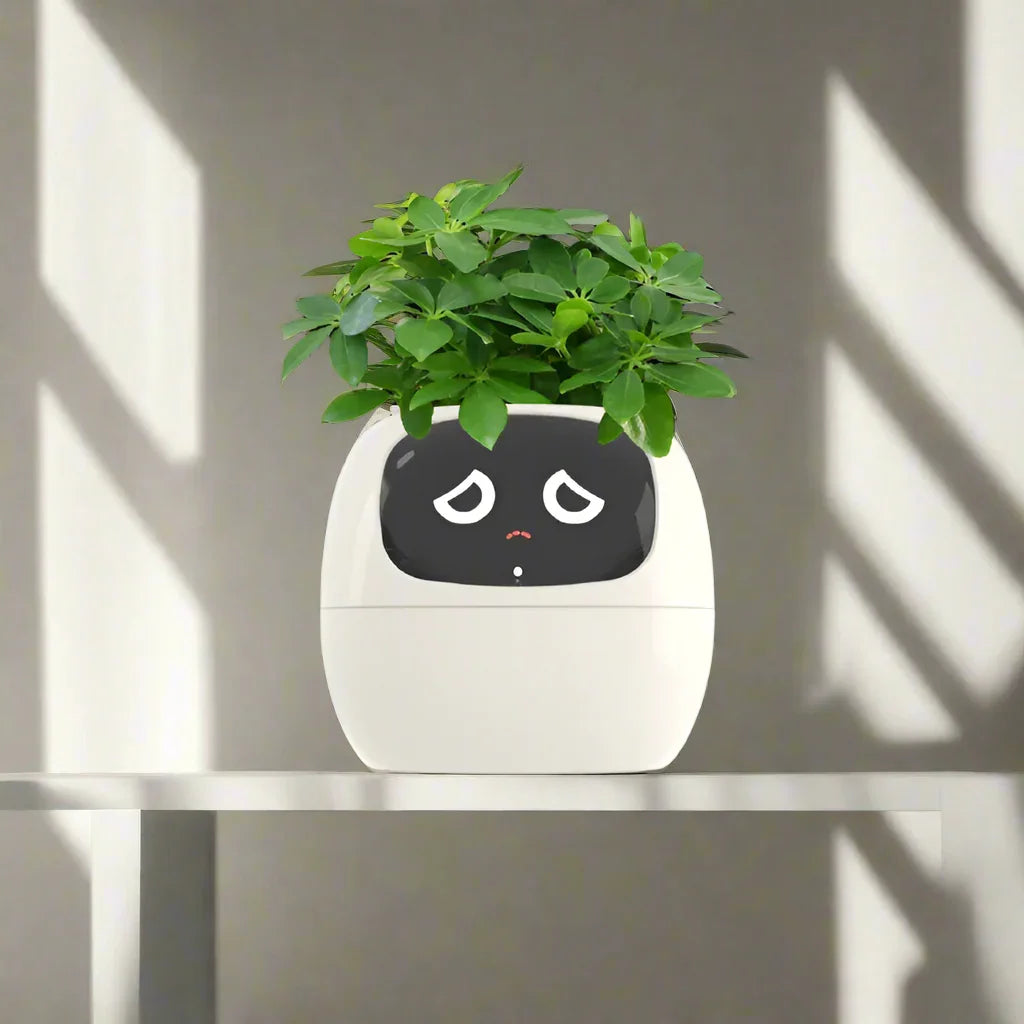 Smart Small Flower Pot - CloudEmpire Trends