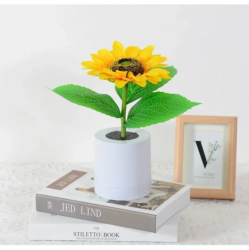 Sunflower in a white pot on a book with a photo frame in the background
