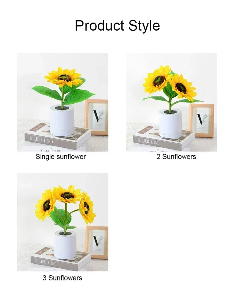Comparison of sunflower arrangements in white pots on a white background