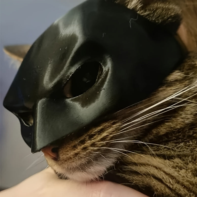 Cat wearing a black mask with a blurred background